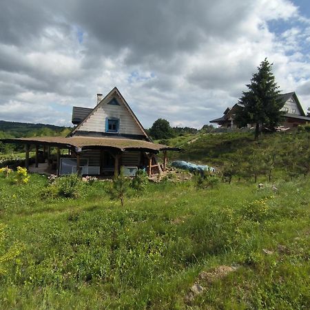 Agroturystyka Odnowica U Pawla ภายนอก รูปภาพ